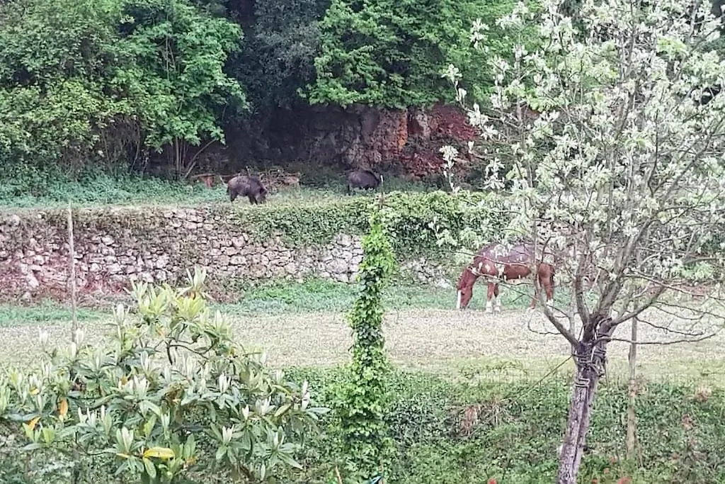 Villa Rocca Di Corno Finale Ligure Italien